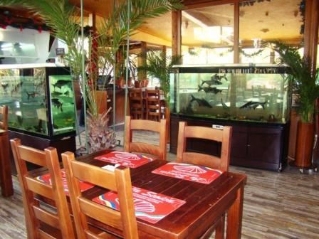 Отель Hotel La Scoica Land Мамайя Норд – Нэводари-33